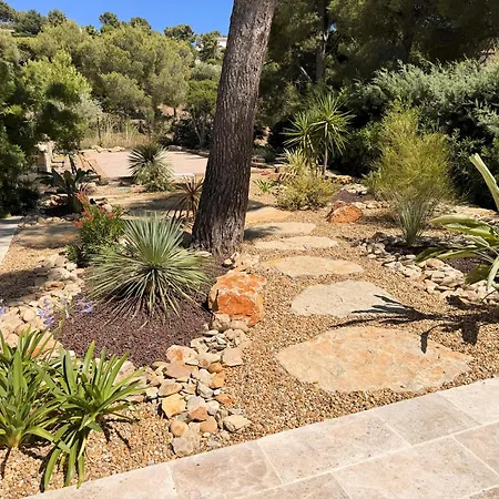 Mimosa Piscine Privée