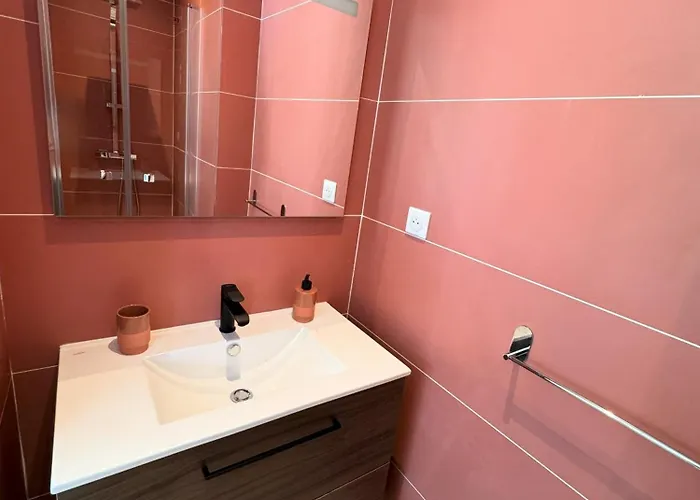 Mimosa Piscine Privee *