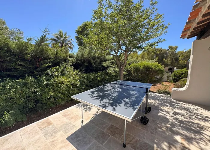 Mimosa Piscine Privee *