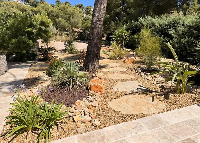 Mimosa Piscine Privee